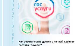 Что делать, если ребенку не пришел СНИЛС в Дикси