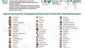 Что такое электронная виза в Дикси