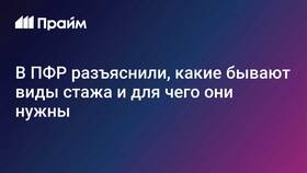 Что такое КЗ в ПФР: расшифровка в Дикси