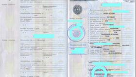 Что такое паспорт транспортного средства (ПТС) в Дикси