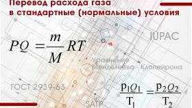 Что такое условный расход в Дикси