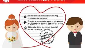 Для чего нужен брачный договор в Дикси