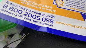 EMS Почта России: что это и как работает в Дикси