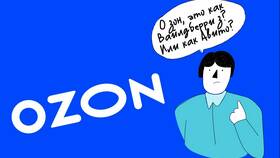 Как изменить категорию товаров на Ozon Seller в Дикси
