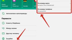 Как перевести 3 000 000 рублей без комиссии другому лицу в Дикси