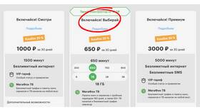 Как подарить интернет на Мегафоне в Дикси