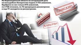 Как подать на банкротство в Казахстане в Дикси