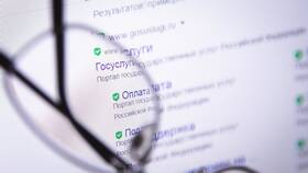 Как подать налоговую декларацию через Госуслуги в Дикси