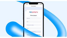 Как подать заявление через мобильное приложение Госуслуги в Дикси