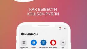 Как подключить кэшбэк на карту Ак Барс в Дикси