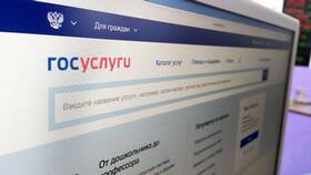 Как позвонить на горячую линию Госуслуг в Дикси