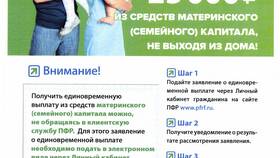 Как правильно написать заявление в Пенсионный фонд в Дикси