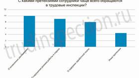 Как правильно написать заявление в трудовую инспекцию в Дикси