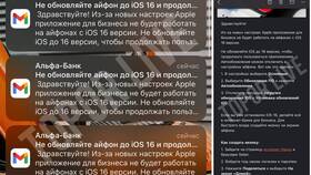 Как установить и настроить Альфа-Банк на iPhone в Дикси