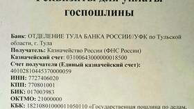 Как узнать реквизиты для оплаты госпошлины в суд в Дикси