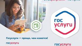 Как войти через Госуслуги с учетной записью ребенка в Дикси