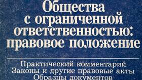 Минусы ООО: недостатки общества с ограниченной ответственностью в Дикси