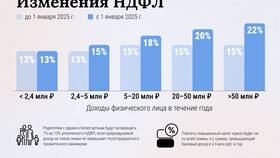 На что ввели налог в России в Дикси