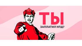 Не прошли налоги: что делать в Дикси