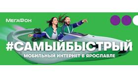 Почему Мегафон считается номером 1 среди операторов связи в Дикси