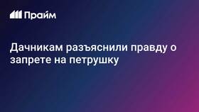 Почему в России запретили кудрявую петрушку в Дикси