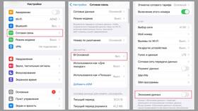 Причины и решения проблем с активацией SIM-карты МегаФон в Дикси
