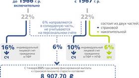 Страховые взносы СФР: что это в Дикси