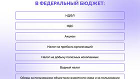 В чем разница между прямыми и косвенными налогами в Дикси
