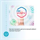 Что делать, если ребенку не пришел СНИЛС