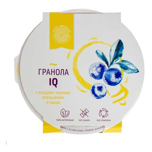 Гранола Fastbrunch IQ с ягодами черники, апельсином и какао 80г Россия в Дикси