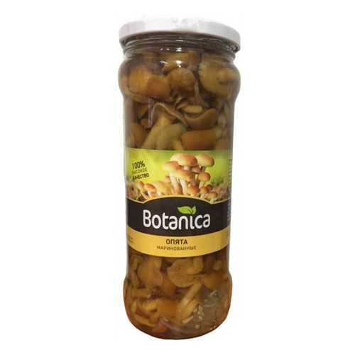 Грибы Botanica опята маринованные 370 мл в Дикси