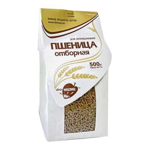 Пшеница Образ жизни отборная 500 г в Дикси