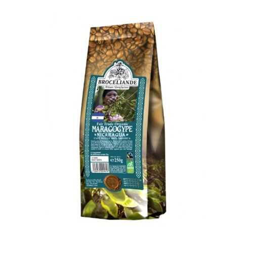 Кофе молотый Broceliande maragogype Nicaragua броселианд марагоджип Никарагуа 250 г в Дикси