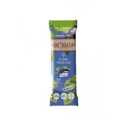 Пастила фруктовая Экофермер pastilata слива с медом 30 г в Дикси