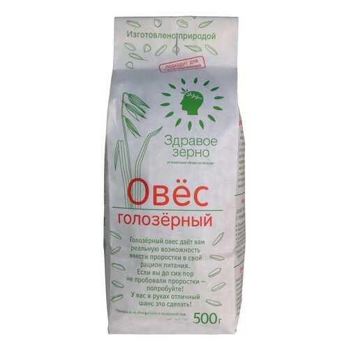 Овёс голозерный Здравое зерно в Дикси