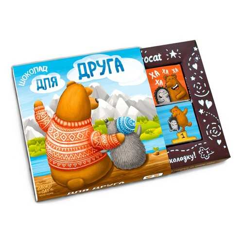 Шоколад Chokocat Для друга, молочный, 60 гр в Дикси