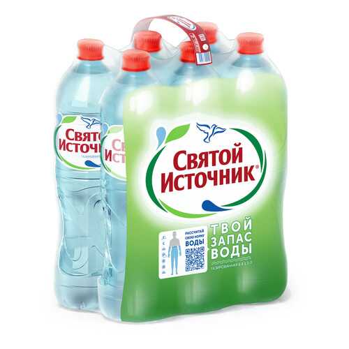 Вода питьевая Святой Источник газированная 1.5 л 6 штук в упаковке в Дикси