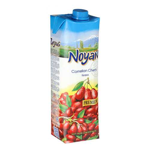 Кизиловый нектар Noyan premium 1л в Дикси